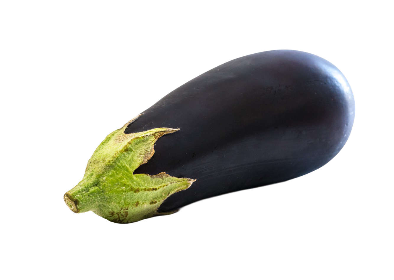 BERENJENA-FLOATING